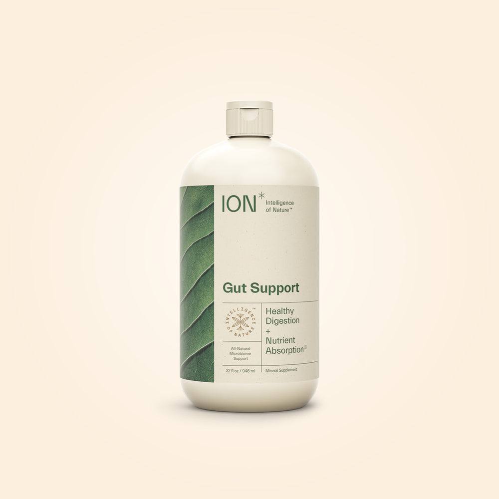 ION* Gut Support 32 fl oz
