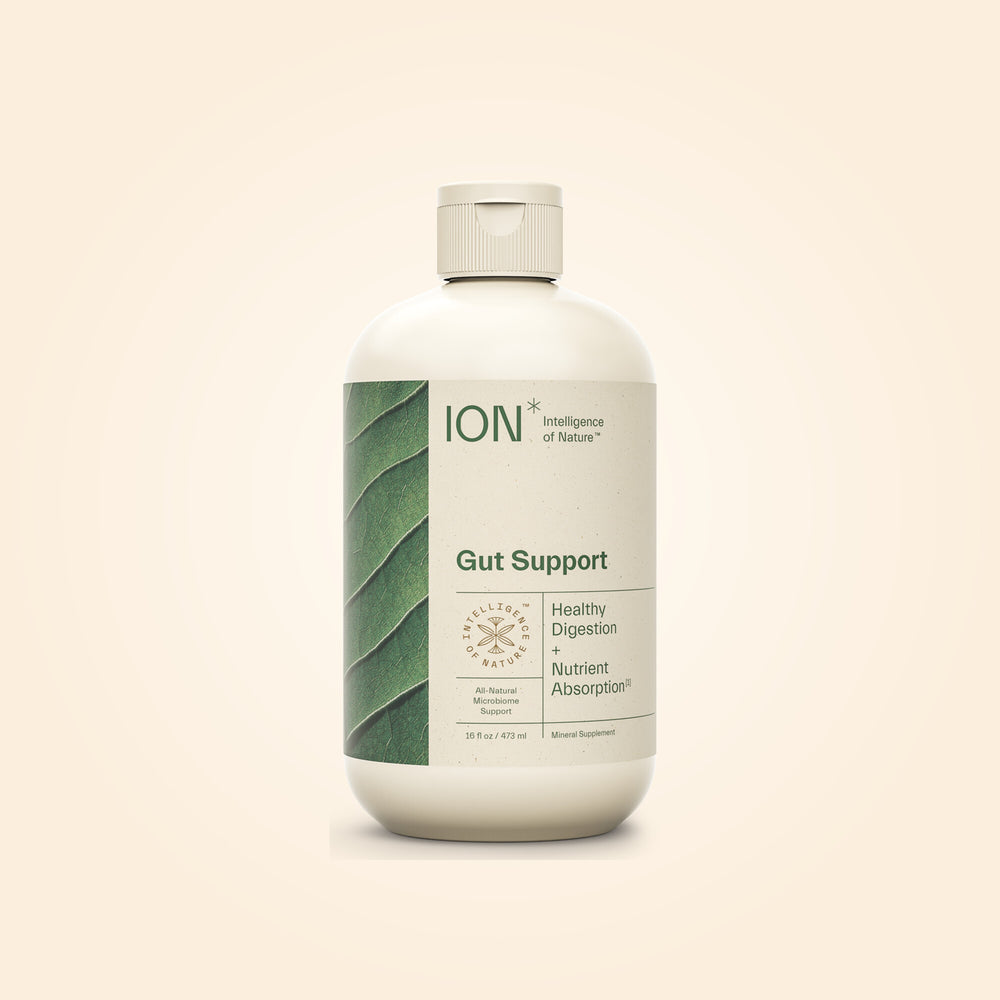ION* Gut Support 16 fl oz