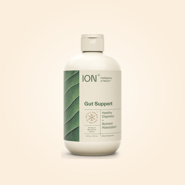ION* Gut Support 16 fl oz